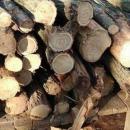 Доброволци дариха дърва на бедстващото пловдивско семейство