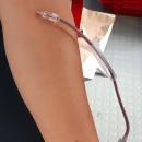 Кампанията Дарете кръв, подарете живот отново в Асеновград